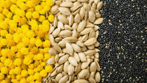 Nervonic Acid in seeds